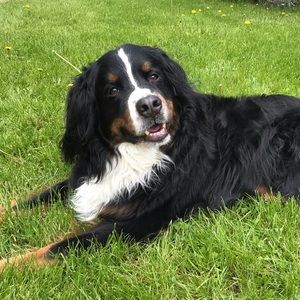 Meet your Posher, Joanna